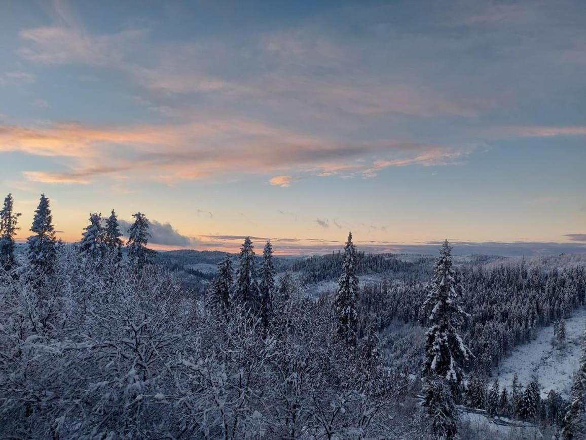 Villa Затишок Tysovets Esterno foto